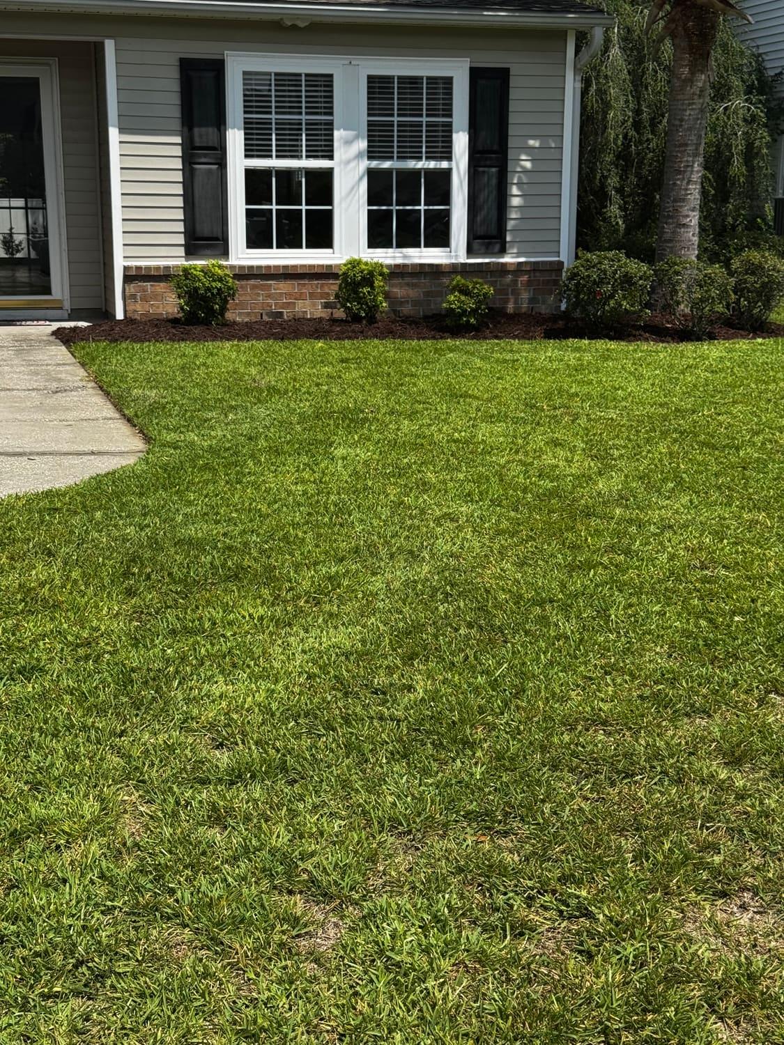 Crisp lawn stripes and a fresh mulch edge along a walkway